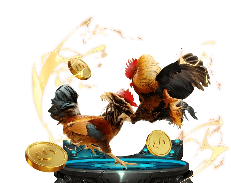 Quản lý ngân sách cá cược hiệu quả